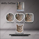 Custom Acrylic Photo Face Badge Reel: Personalized Pet ID Card Holder, Your Portrait Photo ID Badge Reel