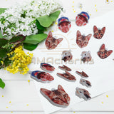 Personalized Photo Acrylic Earrings: Portrait, Dog, Cat, Pet Photo, Funny Photo, Sport Portrait, Head Cut Earrings, Sport Photo Earrings