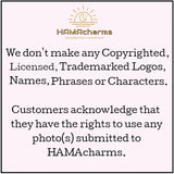 Custom Acrylic Car Photo Ornament: Photo Rear View Mirror Car Hanger, Cut Out Face Photo, Dog,Cat, Pet, Your Portrait, Car Hanger Decoration